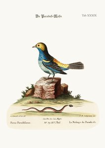 De Mees van het Paradijs, 1749-73